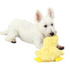 Canard En Peluche Couineur Pour Chiens