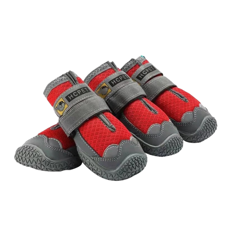 Chaussures Antidérapantes pour Chien