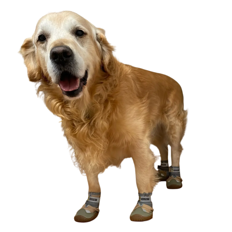 Chaussures Antidérapantes pour Chien