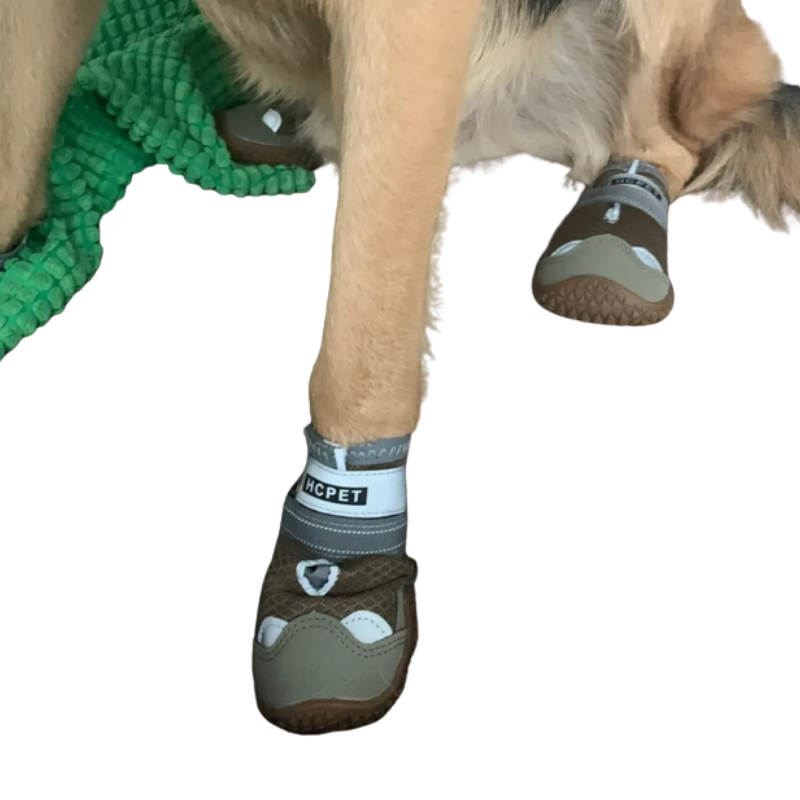 Chaussures Antidérapantes pour Chien