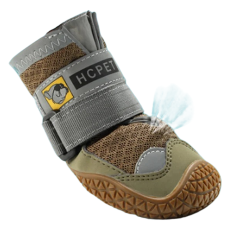 Chaussures Antidérapantes pour Chien