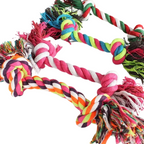 Corde Pour Jouer Avec Le Chien