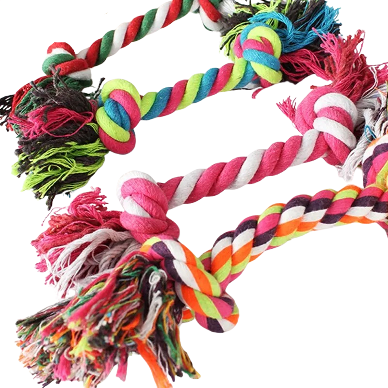 Corde Pour Jouer Avec Le Chien