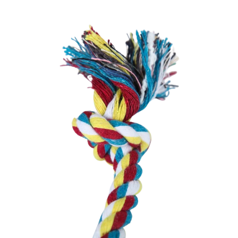 Corde Pour Jouer Avec Le Chien