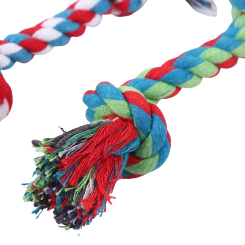 Corde Pour Jouer Avec Le Chien