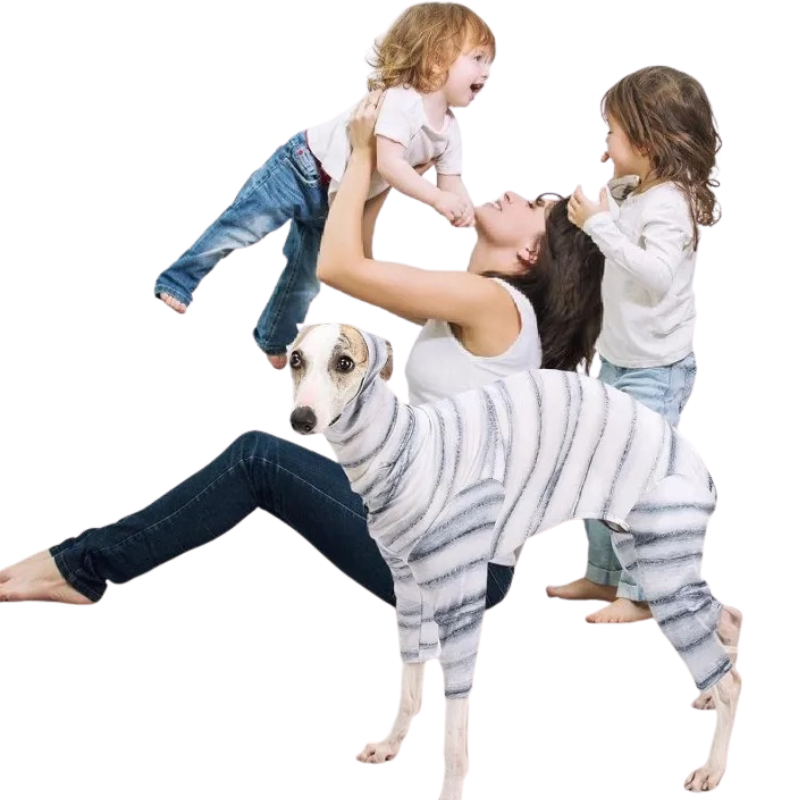 Costume de Momie pour Chiens et Chats