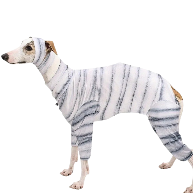 Costume de Momie pour Chiens et Chats