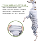 Costume de Momie pour Chiens et Chats