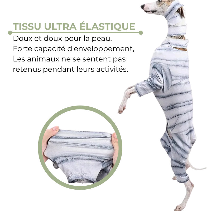 Costume de Momie pour Chiens et Chats