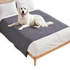 Couverture Imperméable pour Chien