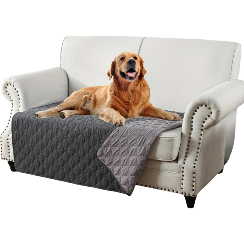 Couverture Imperméable pour Chien