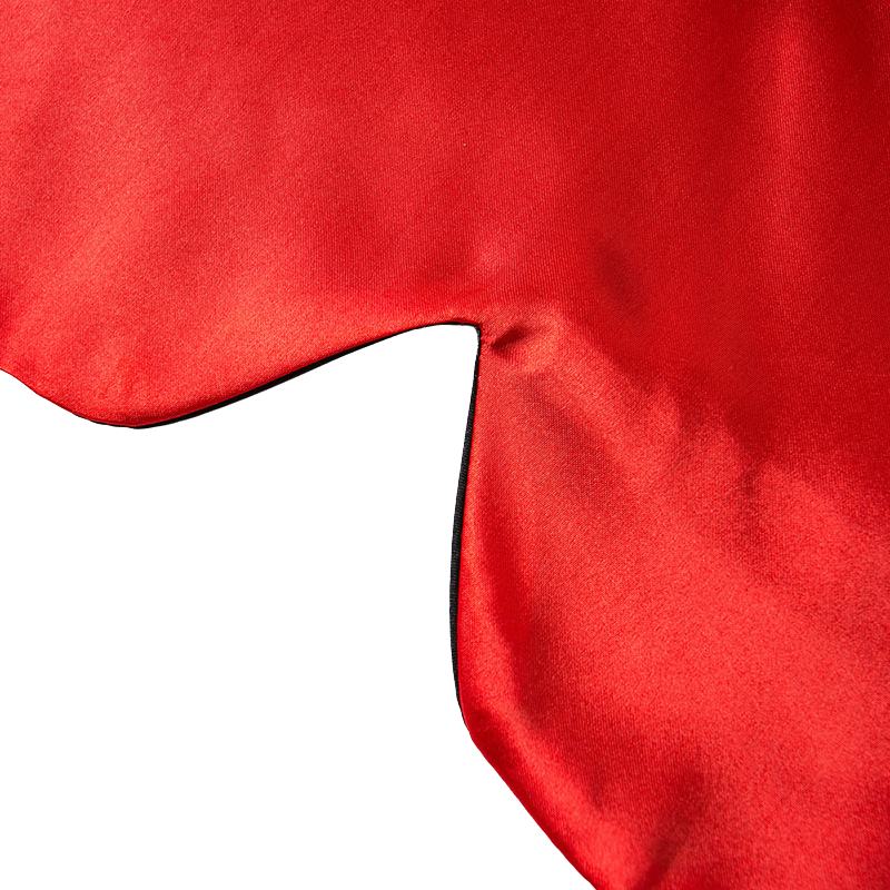 Déguisement Animal Vampire pour Chat et Chien