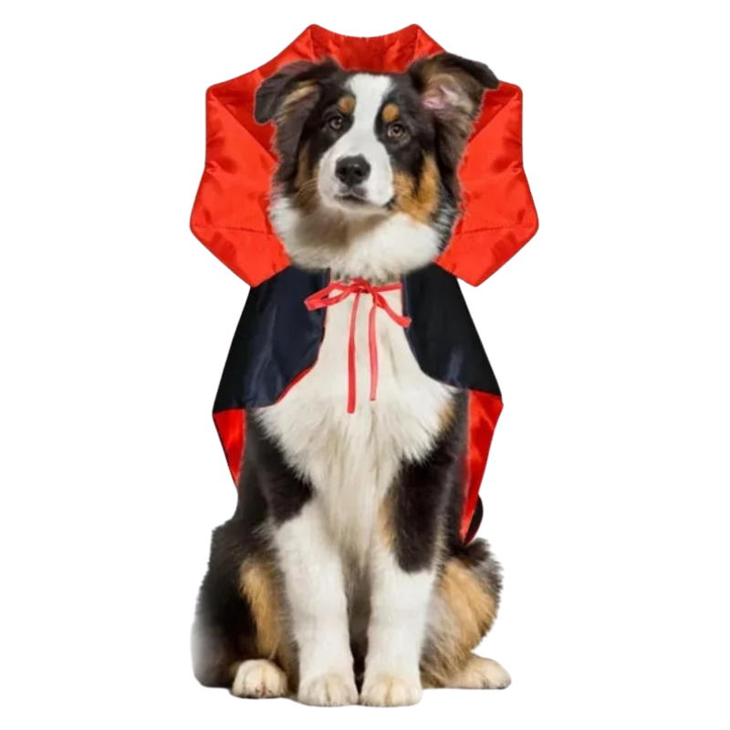 Déguisement Animal Vampire pour Chat et Chien