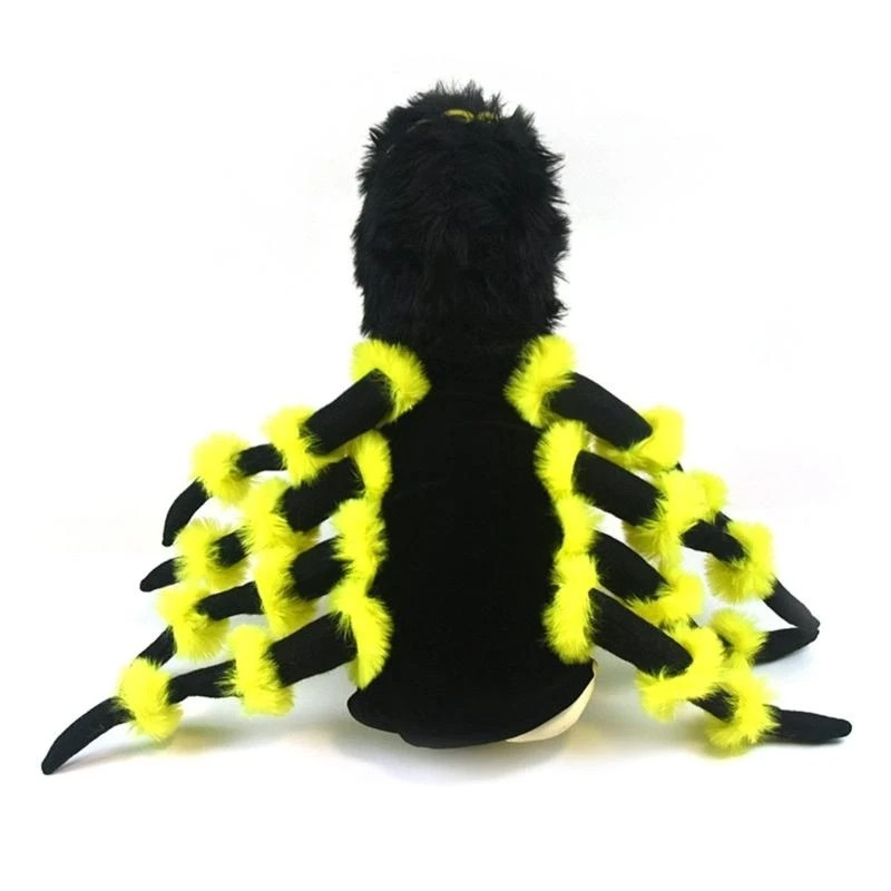 Déguisement Araignée Chien