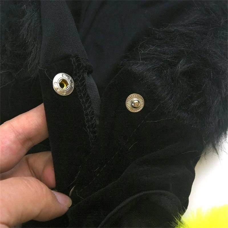 Déguisement Araignée Chien