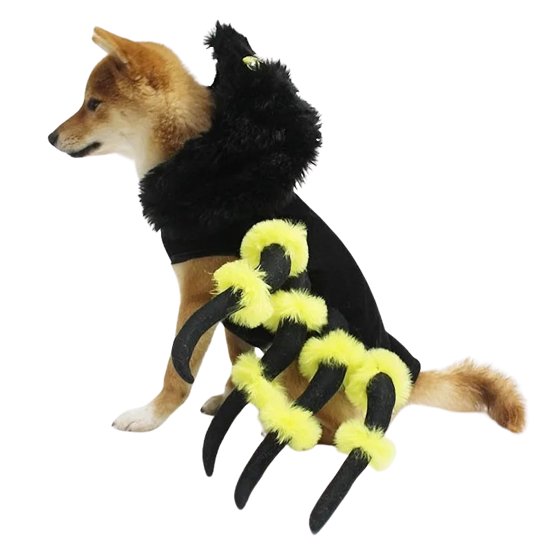 Déguisement Araignée Chien