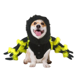 Déguisement Araignée Chien