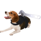 Déguisement Chien Sang