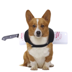 Déguisement Chien Sang