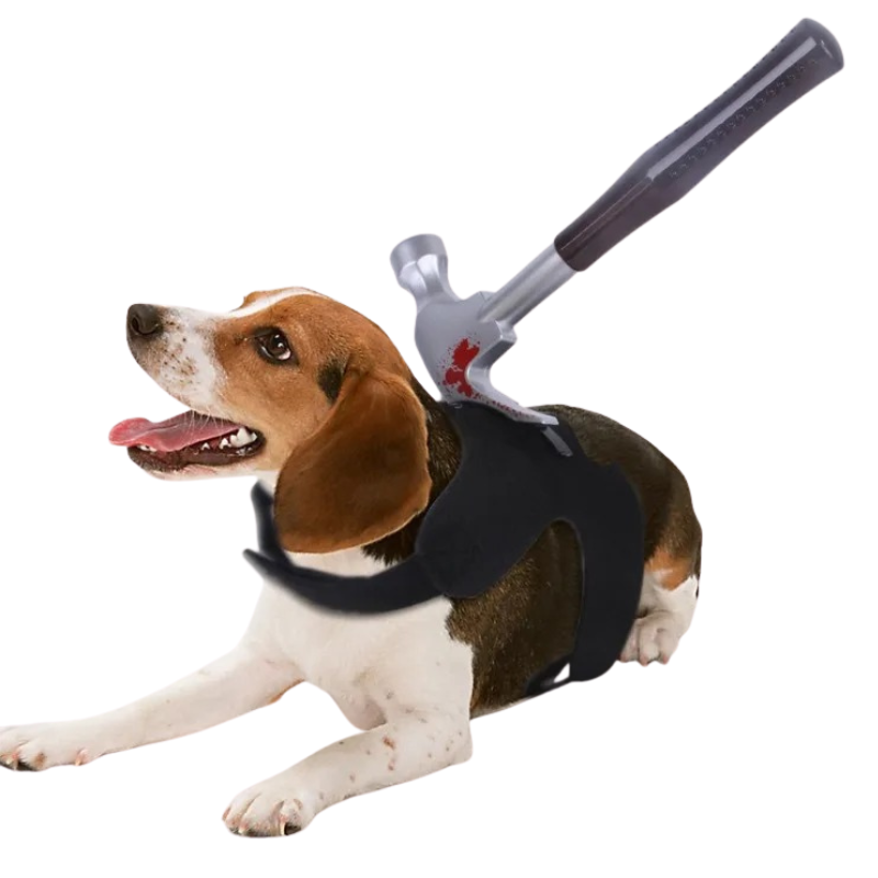 Déguisement Chien Sang