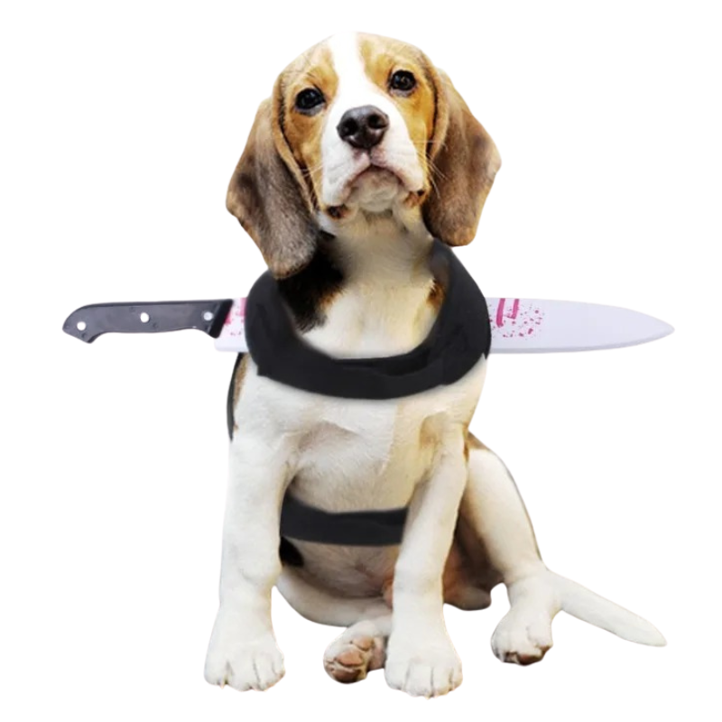 Déguisement Chien Sang