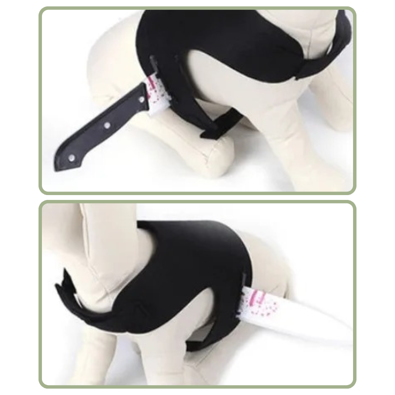 Déguisement Chien Sang