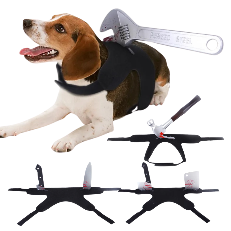 Déguisement Chien Sang