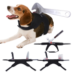 Déguisement Chien Sang