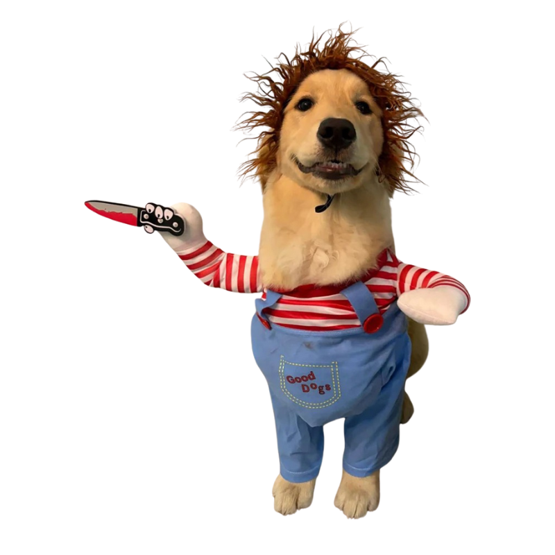 Déguisement Chucky Chien et Chats