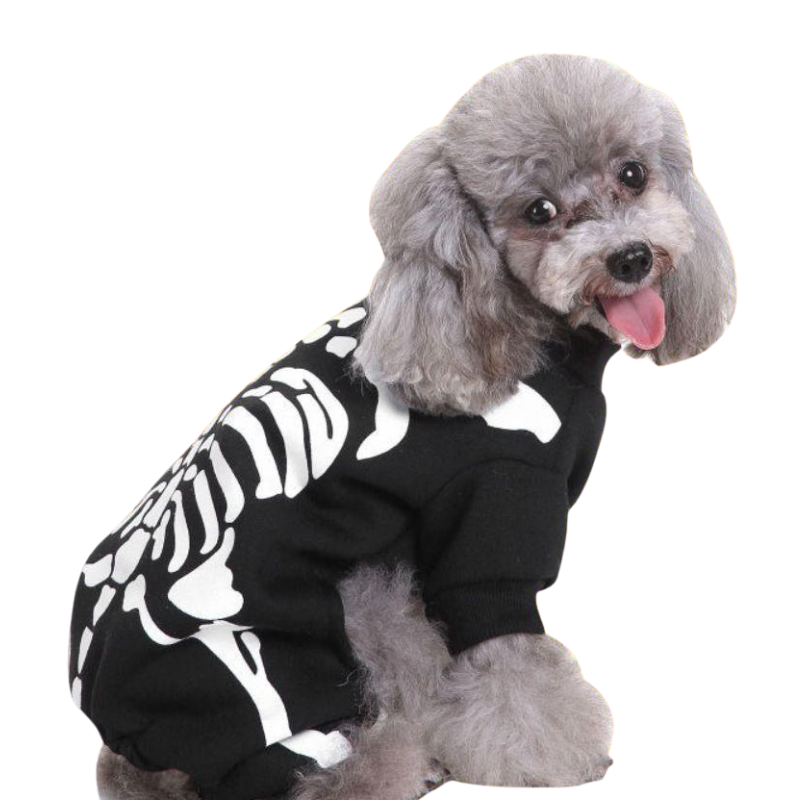 Déguisement Squelette Chien