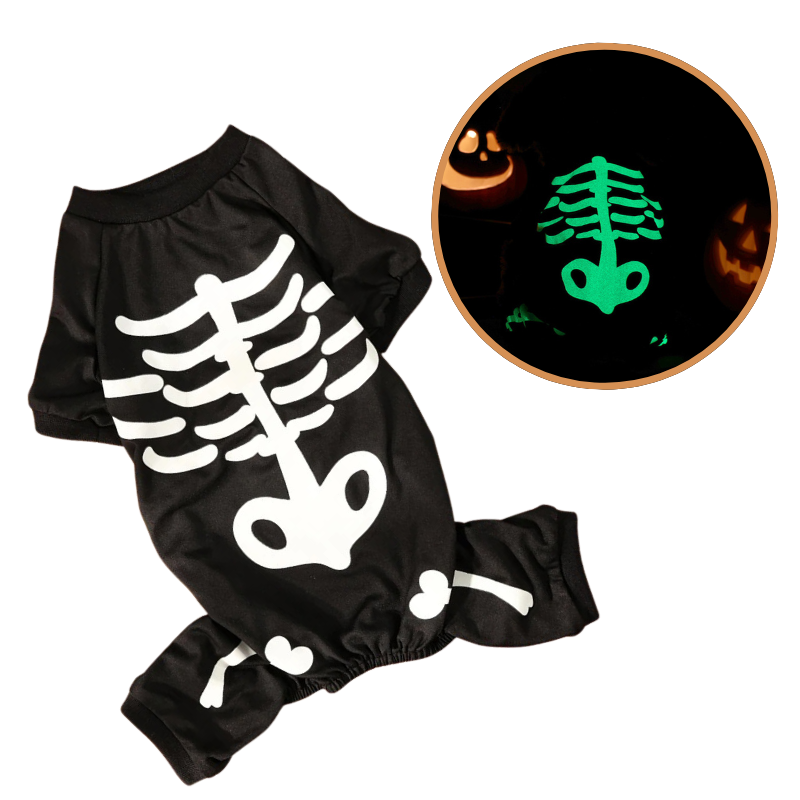 Déguisement Squelette Chien
