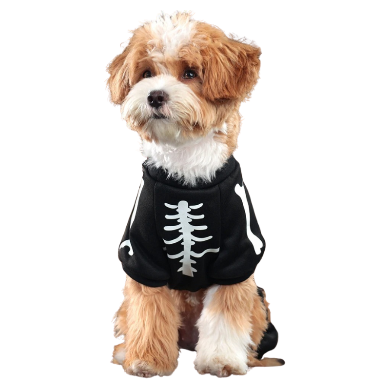 Déguisement Squelette Chien