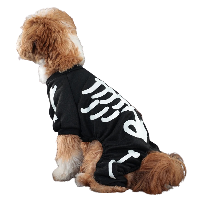 Déguisement Squelette Chien