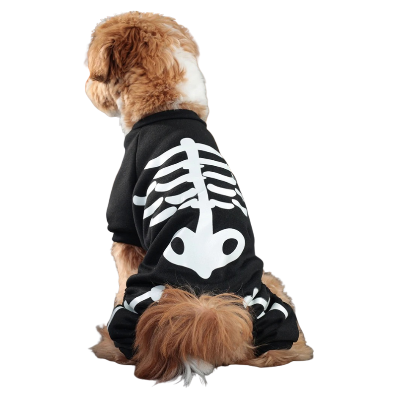Déguisement Squelette Chien