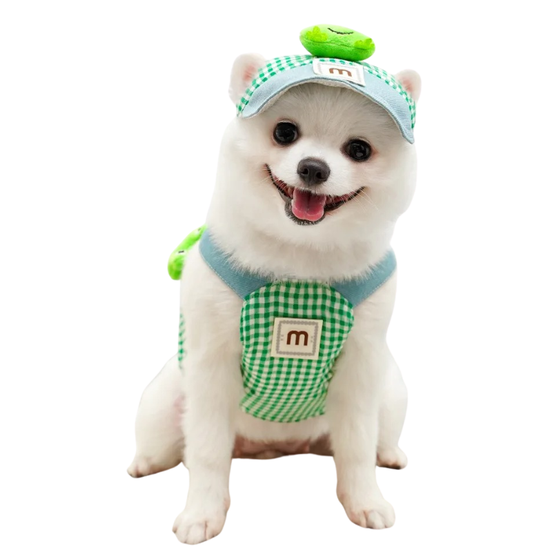 Déguisement pour Chien