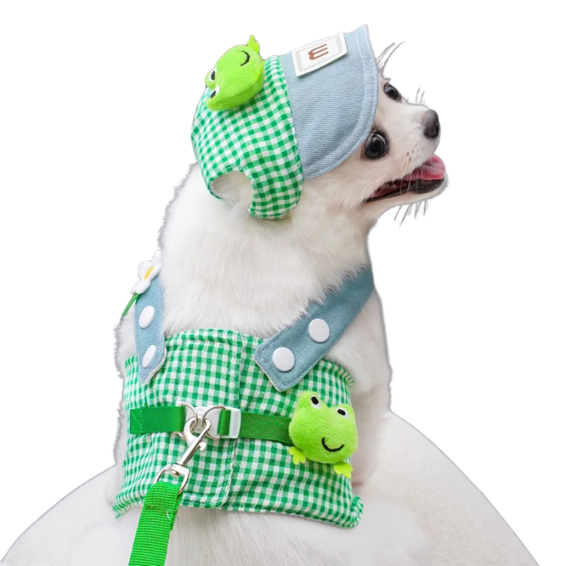 Déguisement pour Chien