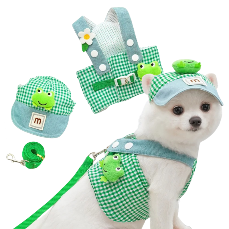 Déguisement pour Chien