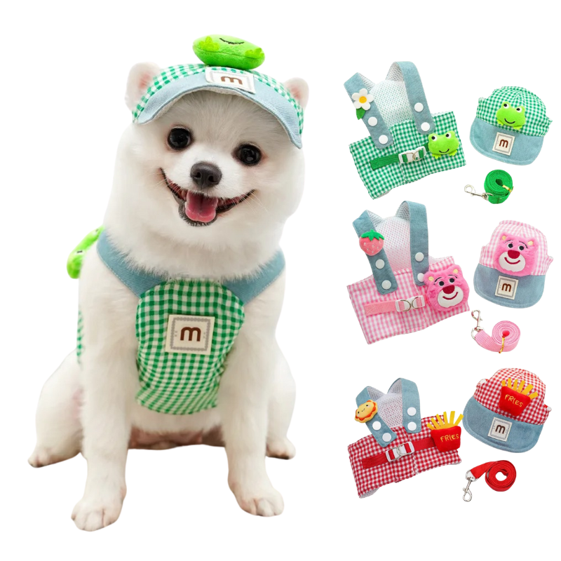 Déguisement pour Chien