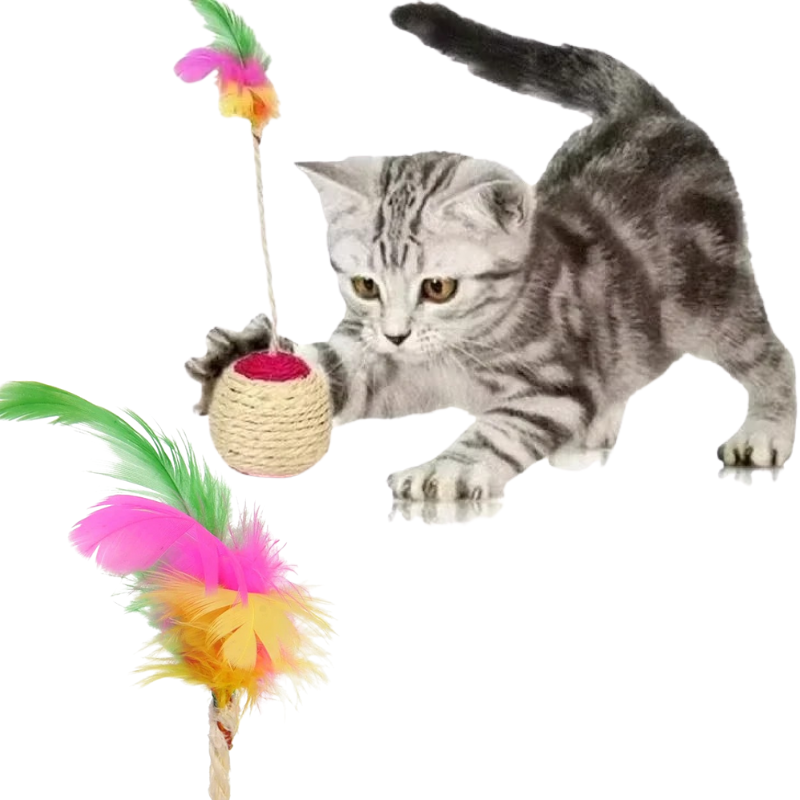 Griffoir Boule pour Chat