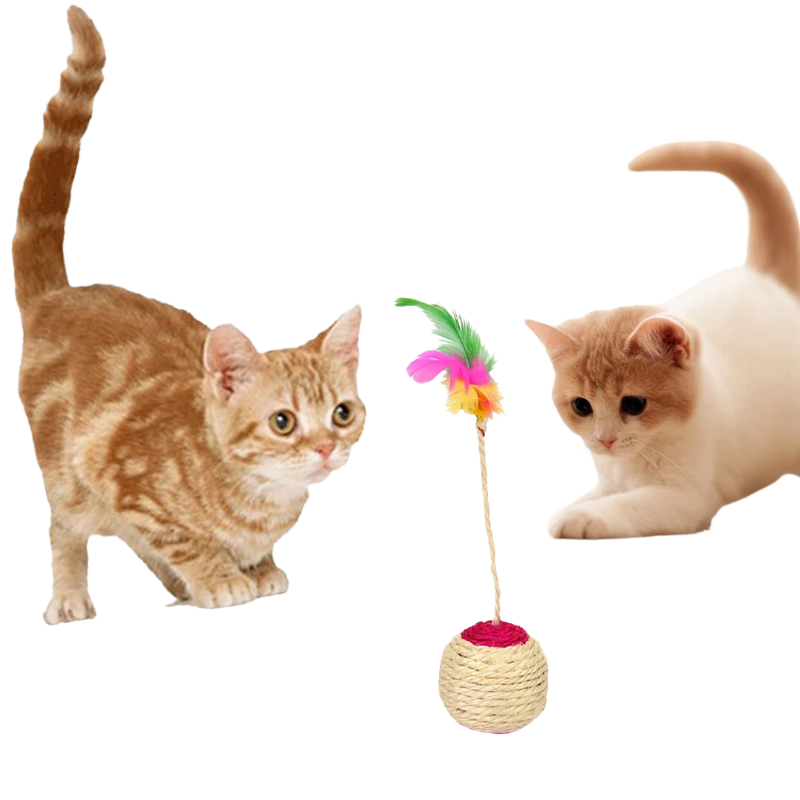 Griffoir Boule pour Chat