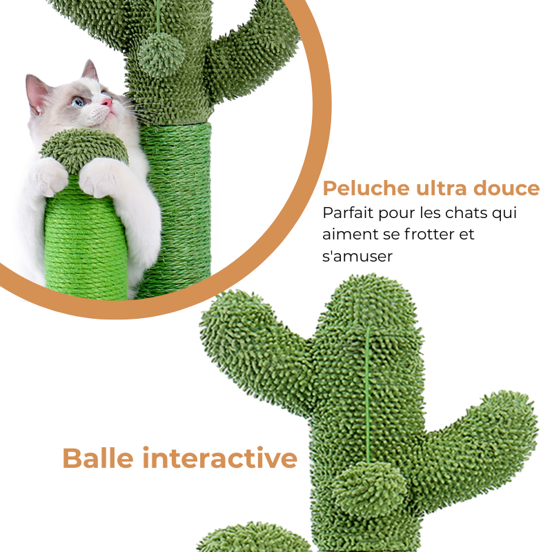 Griffoir Cactus pour Chat