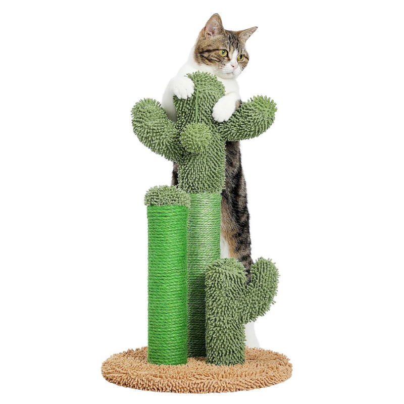 Griffoir Cactus pour Chat