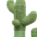 Griffoir Cactus pour Chat