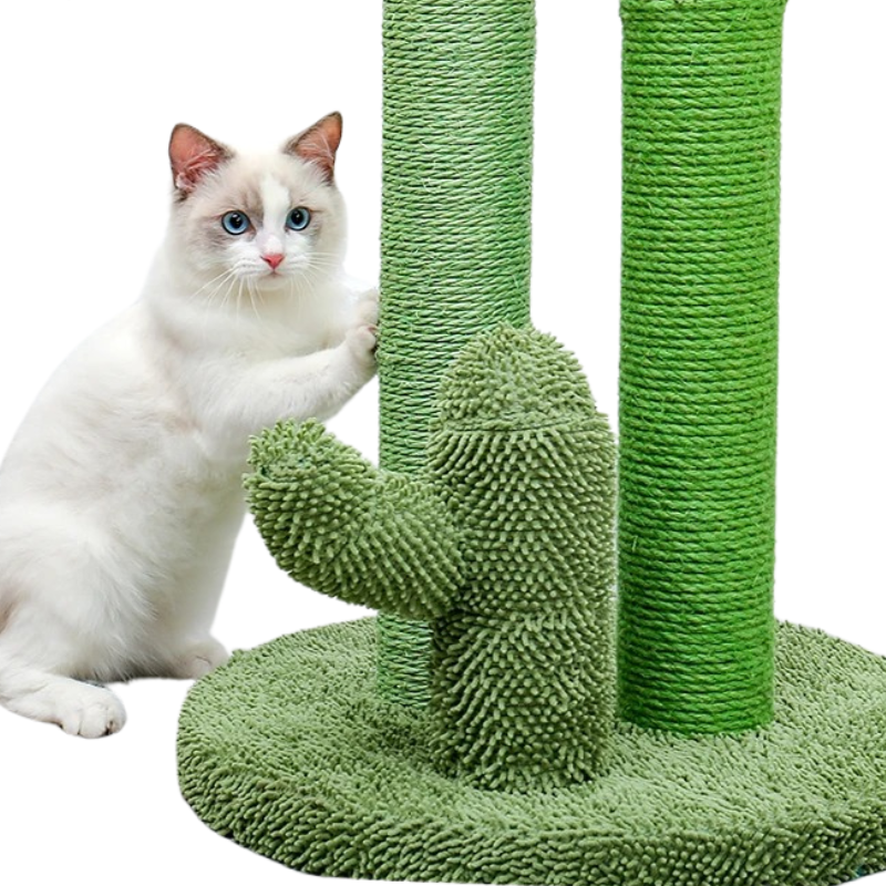 Griffoir Cactus pour Chat