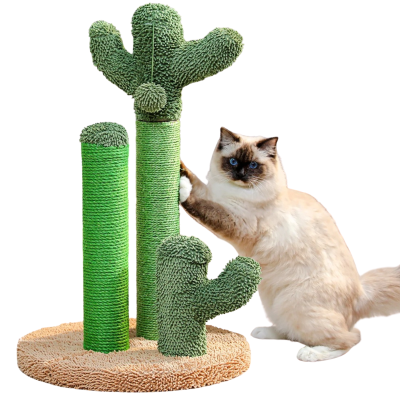 Griffoir Cactus pour Chat