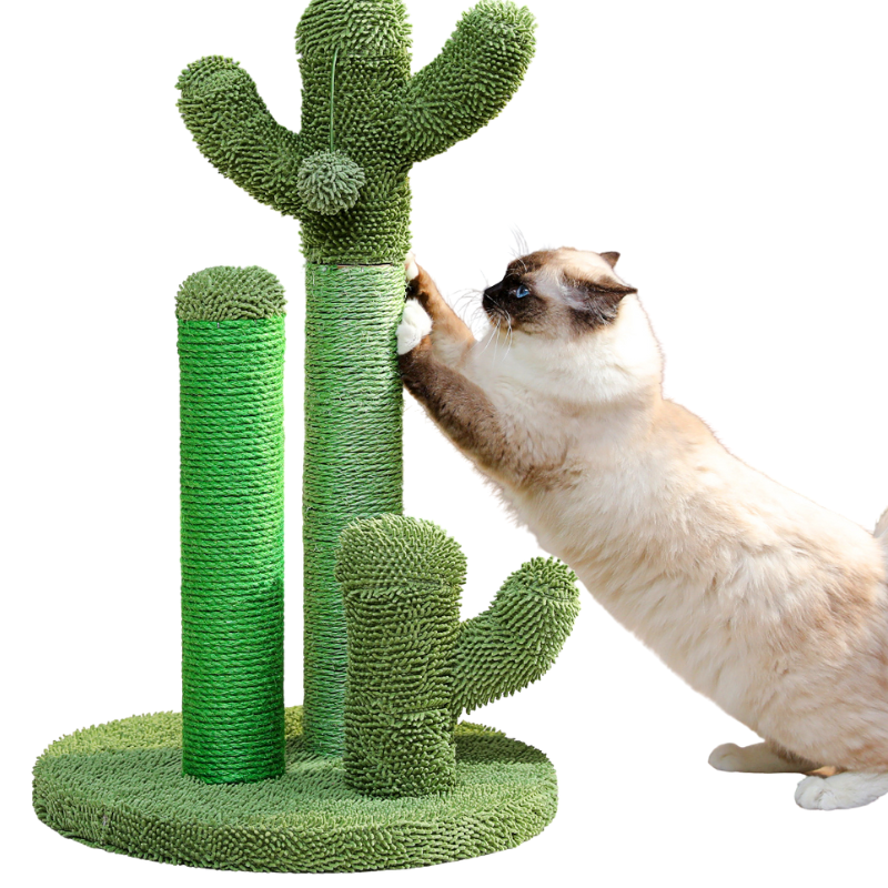 Griffoir Cactus pour Chat