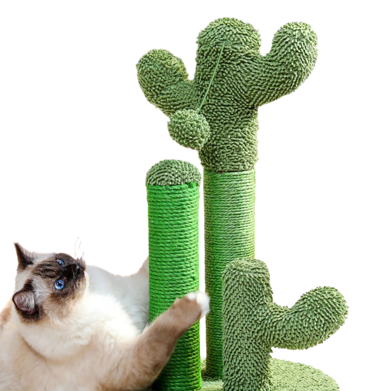 Griffoir Cactus pour Chat