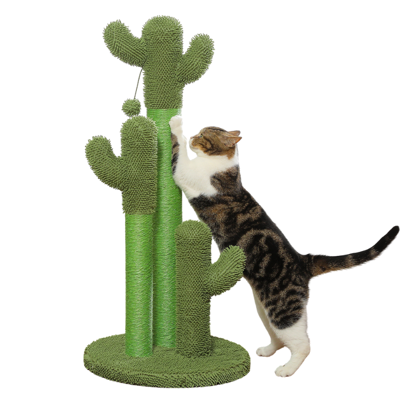 Griffoir Cactus pour Chat