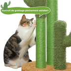 Griffoir Cactus pour Chat