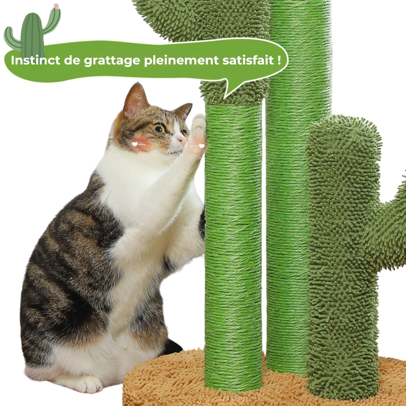 Griffoir Cactus pour Chat